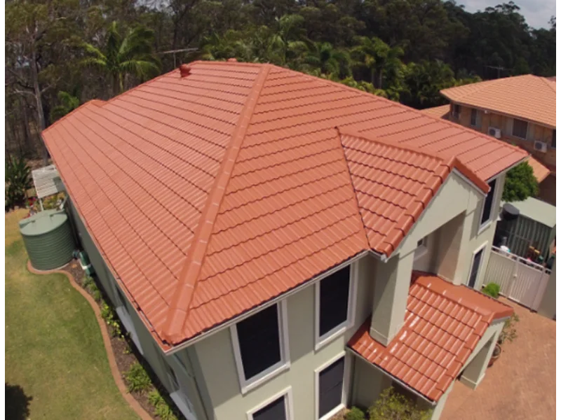 Roof Painting