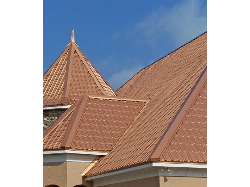 Roof Painting